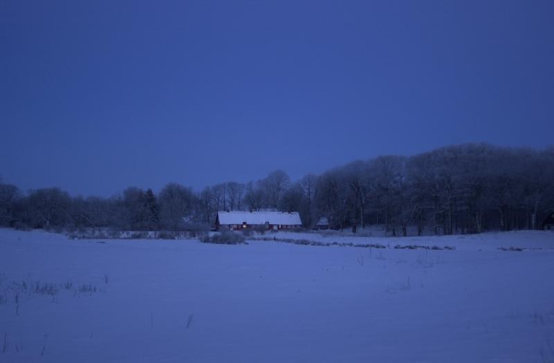 Røde hus i sne