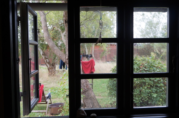 Have med vasketøj set gennem vindue